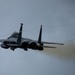 Eagles in the sky during Max 20-20