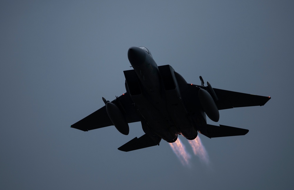 Eagles in the sky during Max 20-20