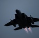 Eagles in the sky during Max 20-20