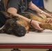 SJ vet clinic treats furry friends