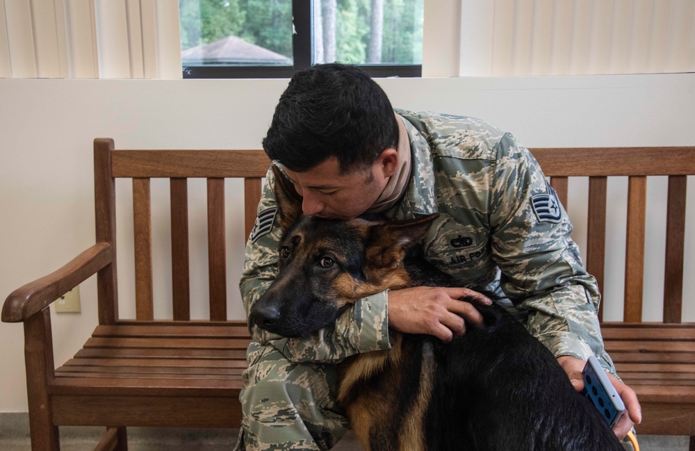SJ vet clinic treats furry friends