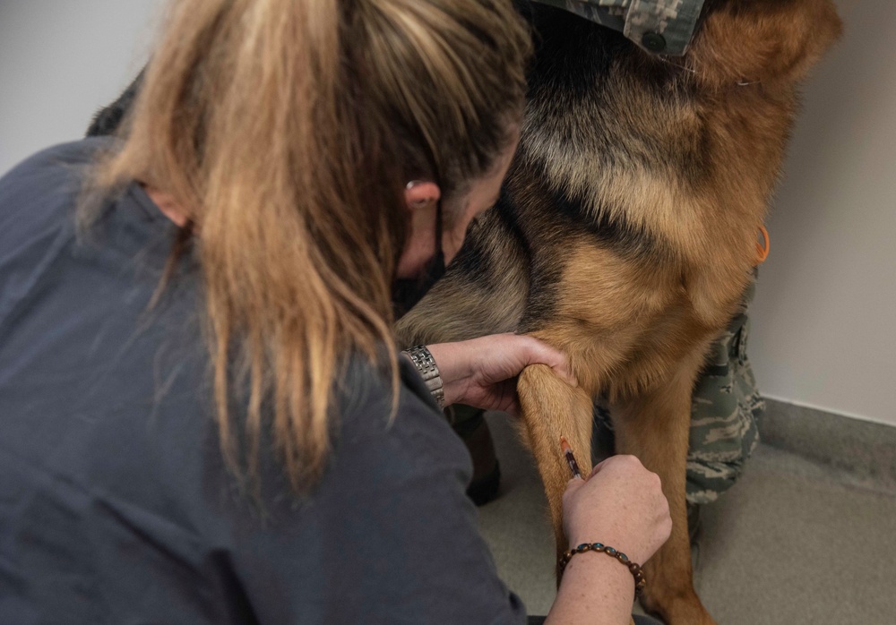 SJ vet clinic treats furry friends