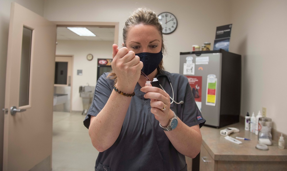 SJ vet clinic treats furry friends