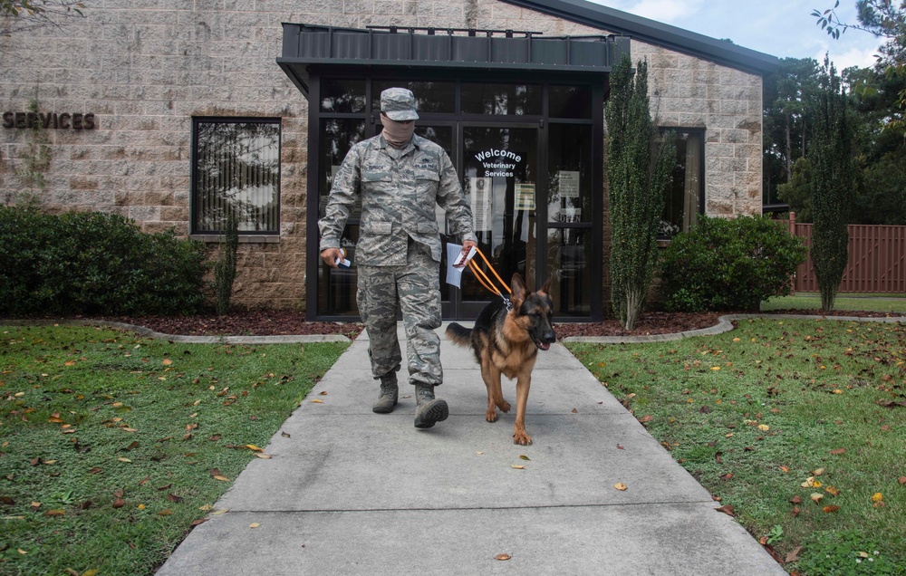 SJAFB treats furry friends