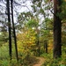 2020 Fall Views at Fort McCoy's Pine View Recreation Area