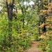 2020 Fall Views at Fort McCoy's Pine View Recreation Area