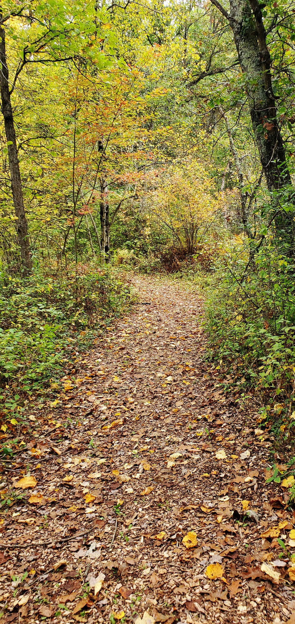 2020 Fall Views at Fort McCoy's Pine View Recreation Area