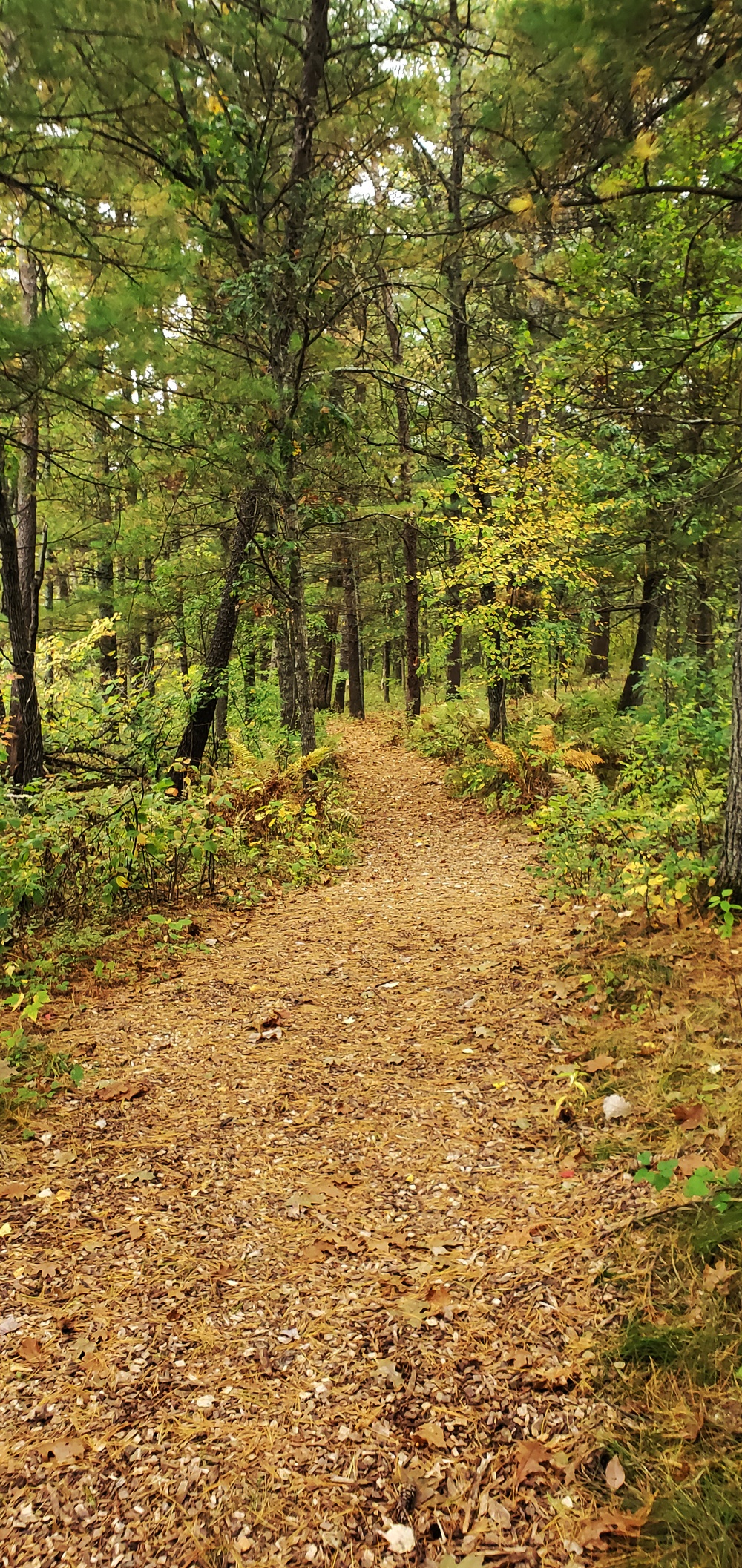 2020 Fall Views at Fort McCoy's Pine View Recreation Area