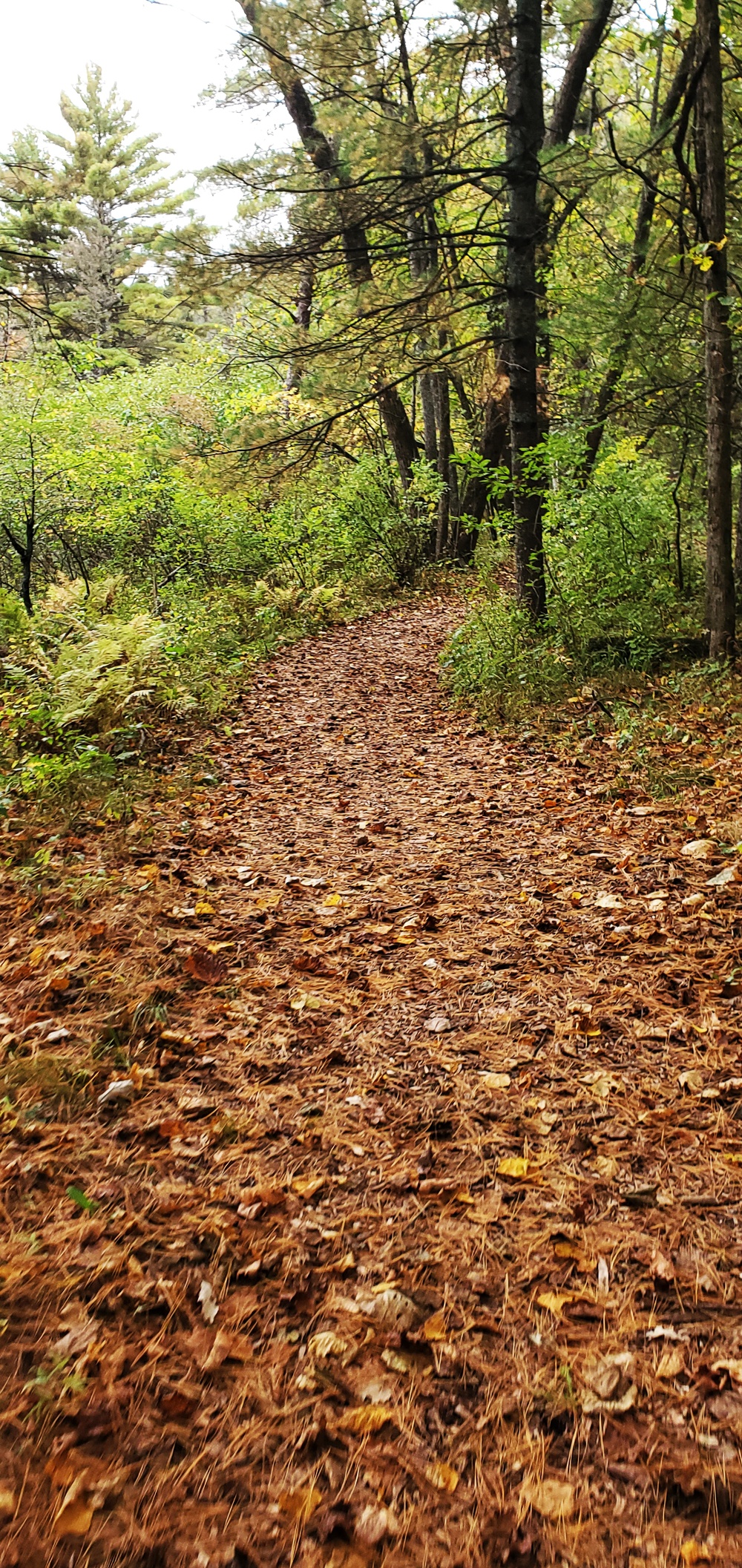 2020 Fall Views at Fort McCoy's Pine View Recreation Area