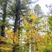 2020 Fall Views at Fort McCoy's Pine View Recreation Area
