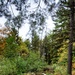 2020 Fall Views at Fort McCoy's Pine View Recreation Area