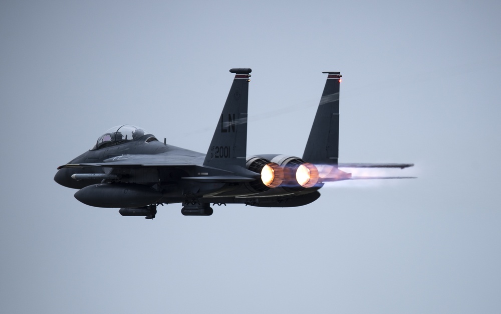 Eagles in the sky during Max 20-20