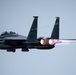 Eagles in the sky during Max 20-20