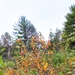 2020 Fall Views at Fort McCoy's Pine View Recreation Area