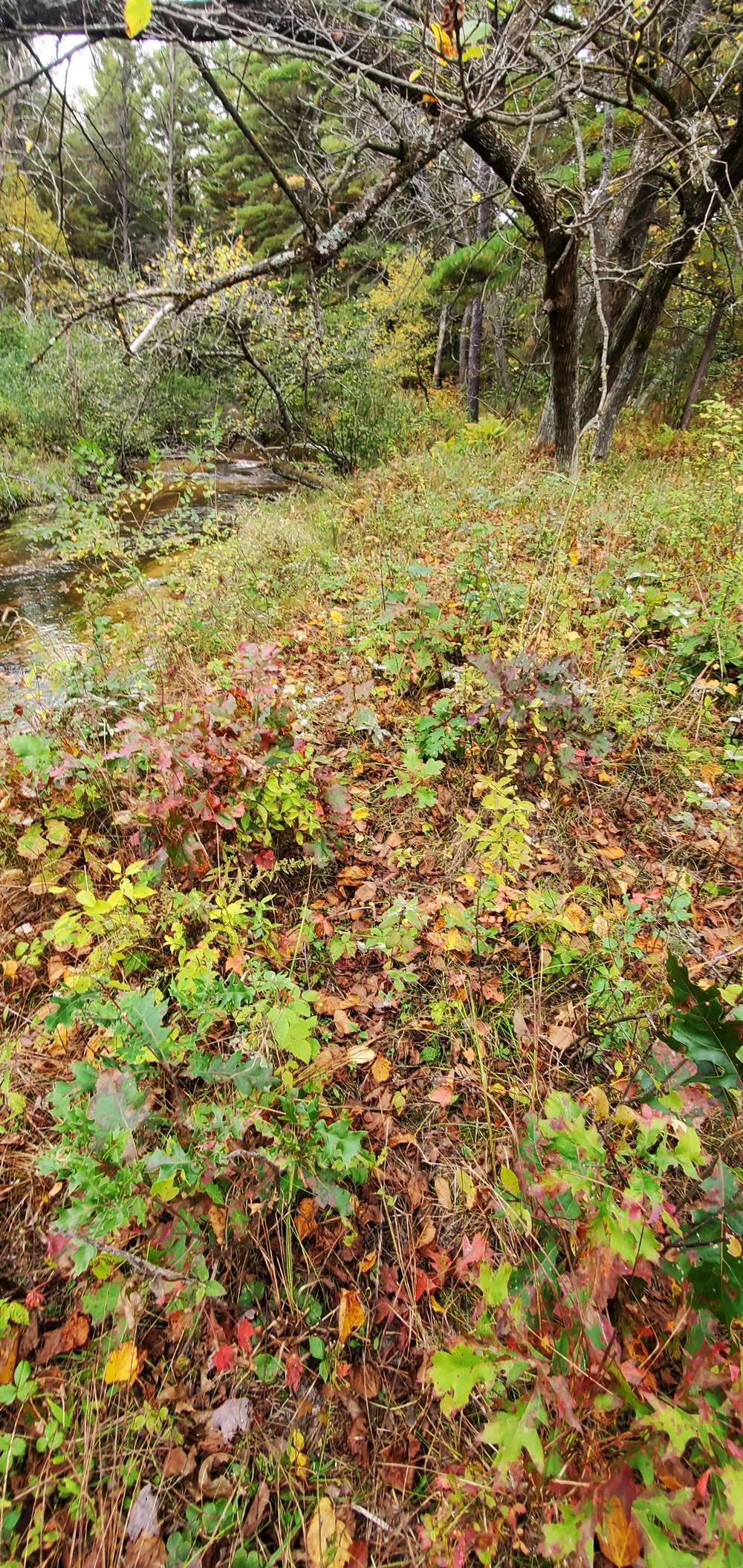 2020 Fall Views at Fort McCoy's Pine View Recreation Area