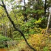 2020 Fall Views at Fort McCoy's Pine View Recreation Area