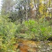 2020 Fall Views at Fort McCoy's Pine View Recreation Area