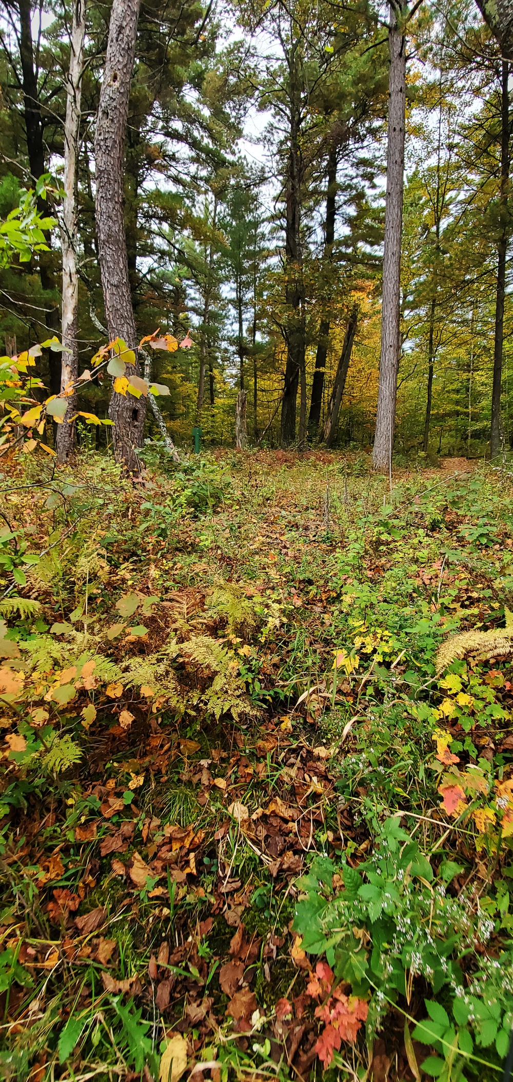 2020 Fall Views at Fort McCoy's Pine View Recreation Area