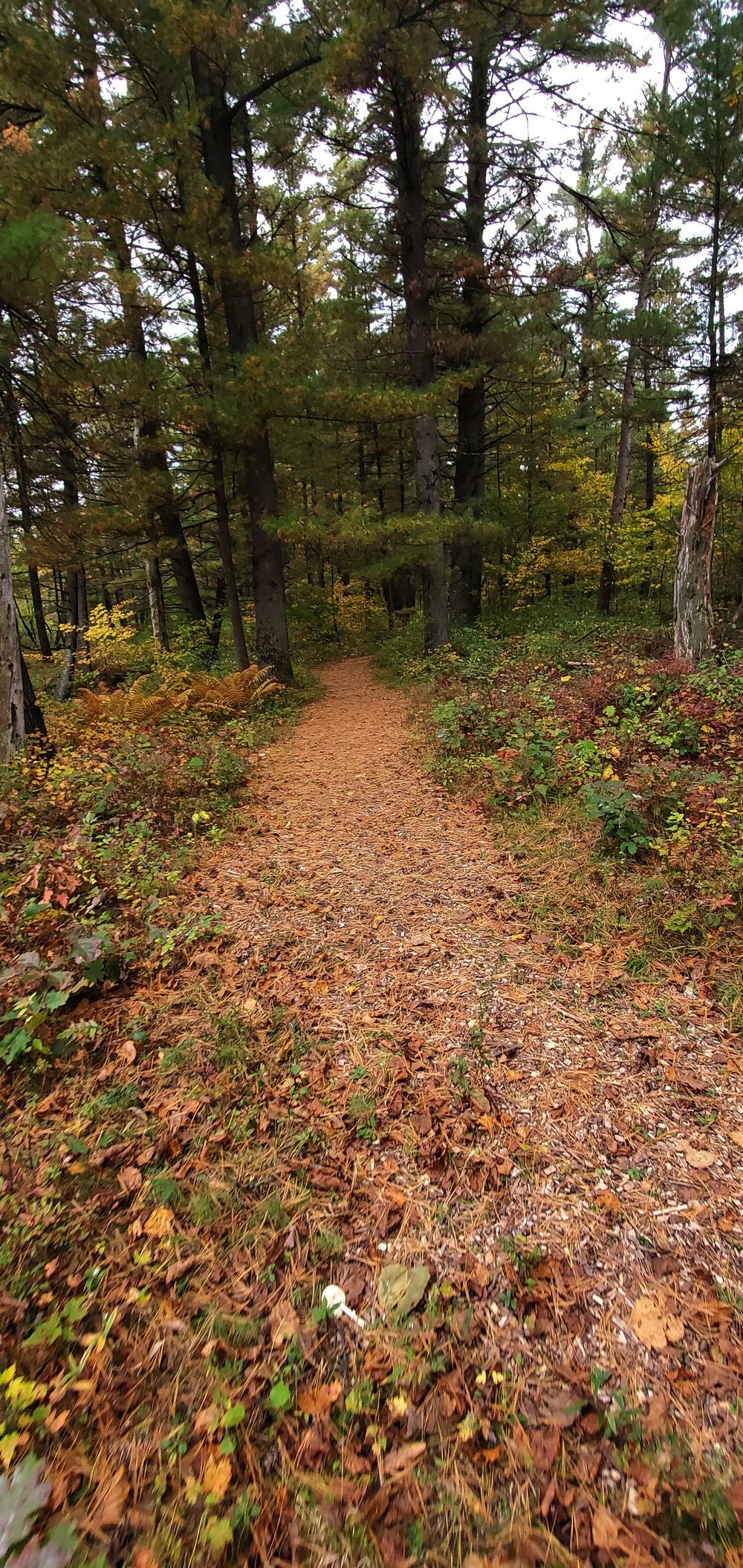 2020 Fall Views at Fort McCoy's Pine View Recreation Area