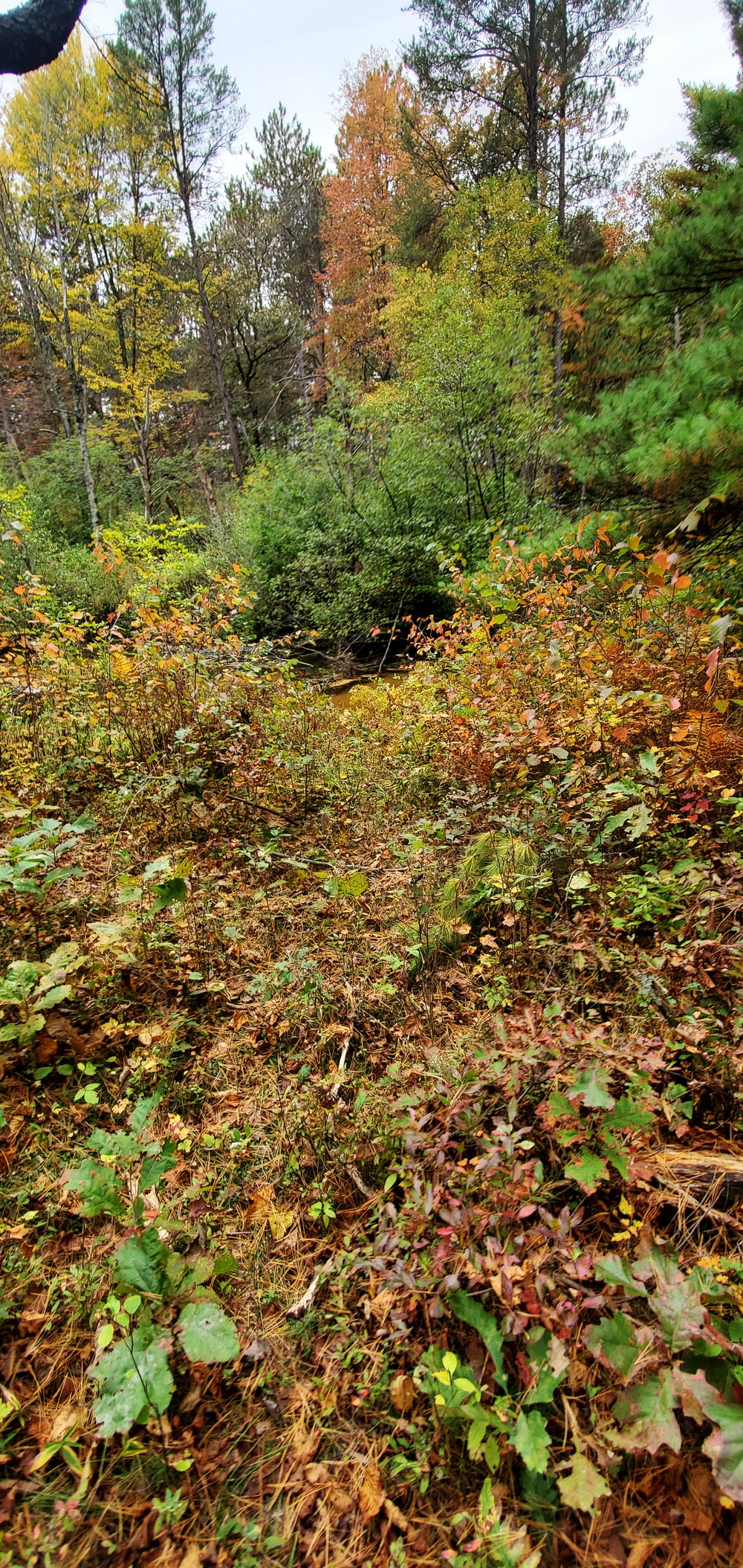 2020 Fall Views at Fort McCoy's Pine View Recreation Area