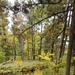 2020 Fall Views at Fort McCoy's Pine View Recreation Area