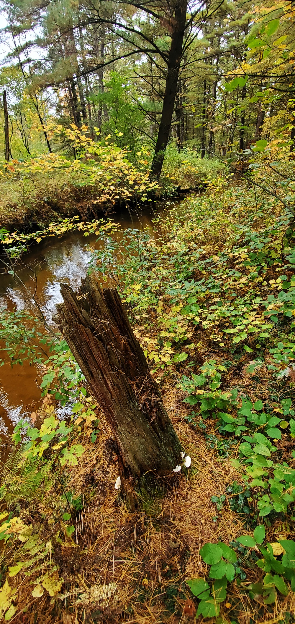 2020 Fall Views at Fort McCoy's Pine View Recreation Area
