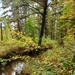 2020 Fall Views at Fort McCoy's Pine View Recreation Area