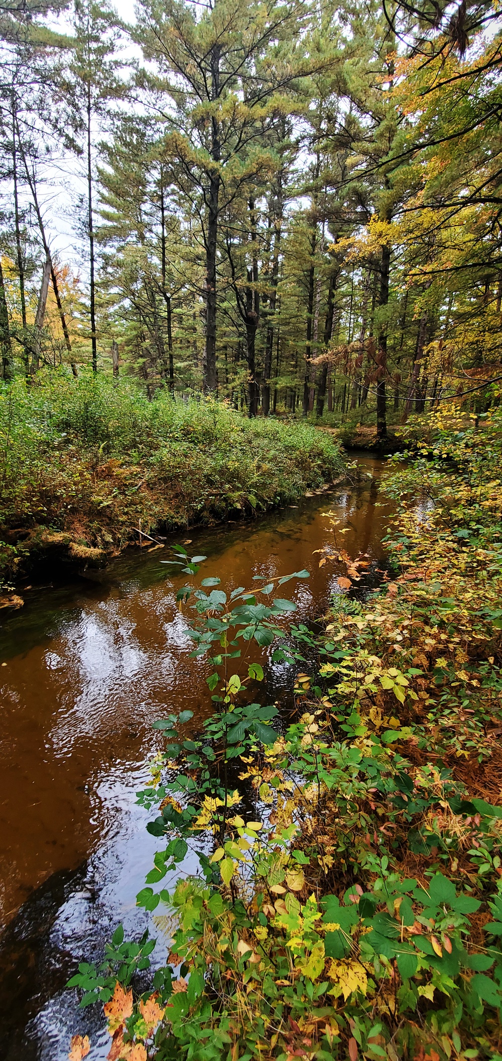 2020 Fall Views at Fort McCoy's Pine View Recreation Area