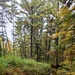 2020 Fall Views at Fort McCoy's Pine View Recreation Area
