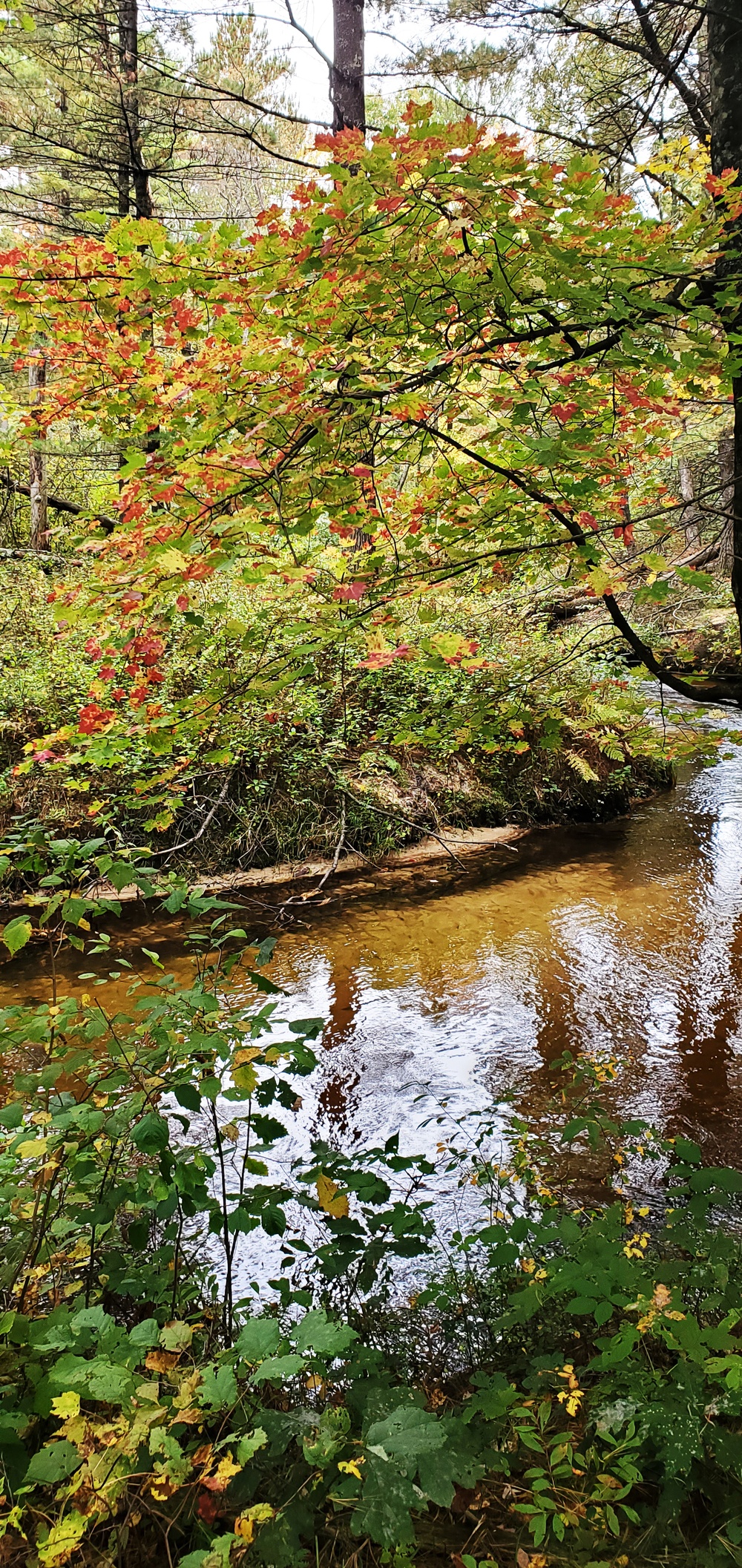 2020 Fall Views at Fort McCoy's Pine View Recreation Area