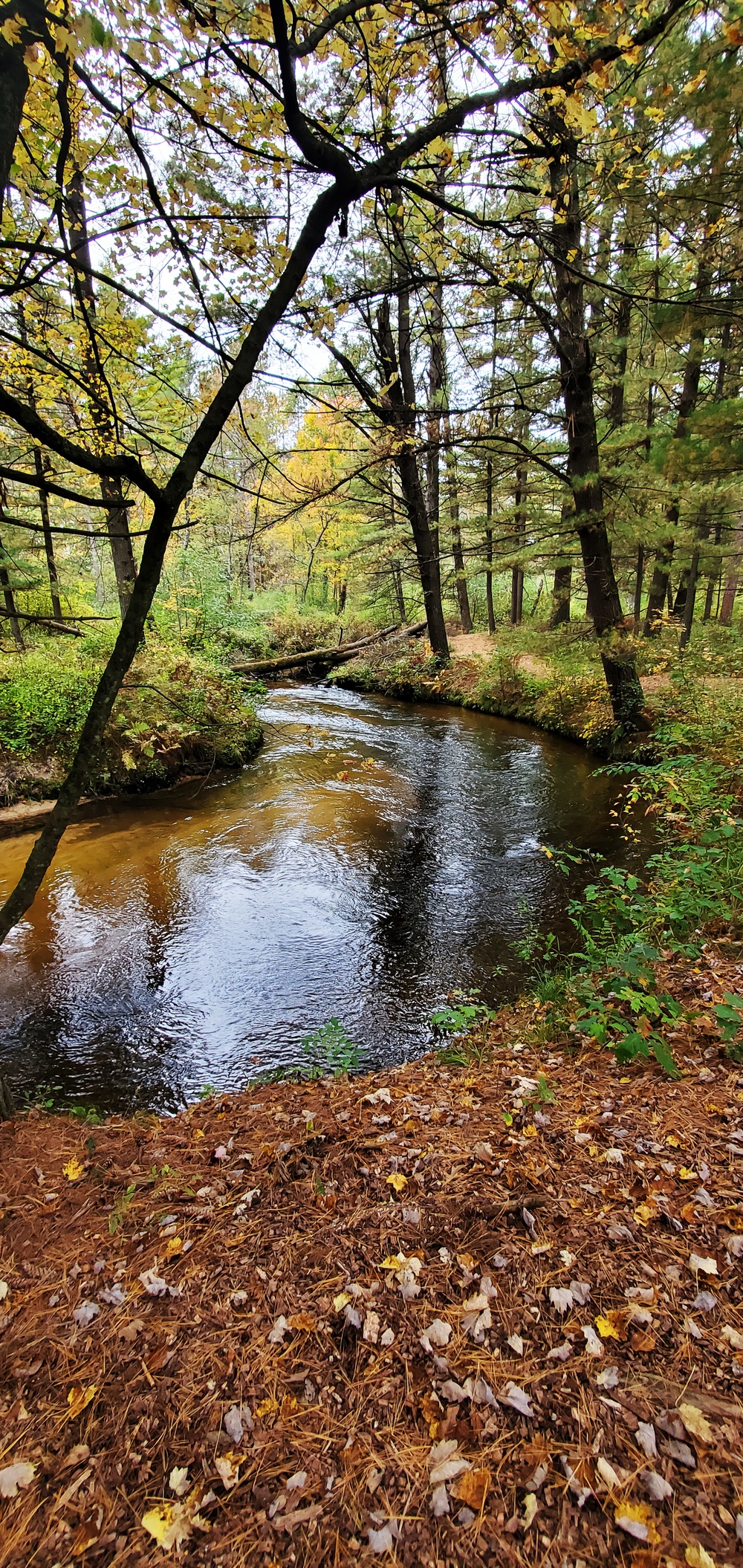 2020 Fall Views at Fort McCoy's Pine View Recreation Area