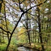 2020 Fall Views at Fort McCoy's Pine View Recreation Area