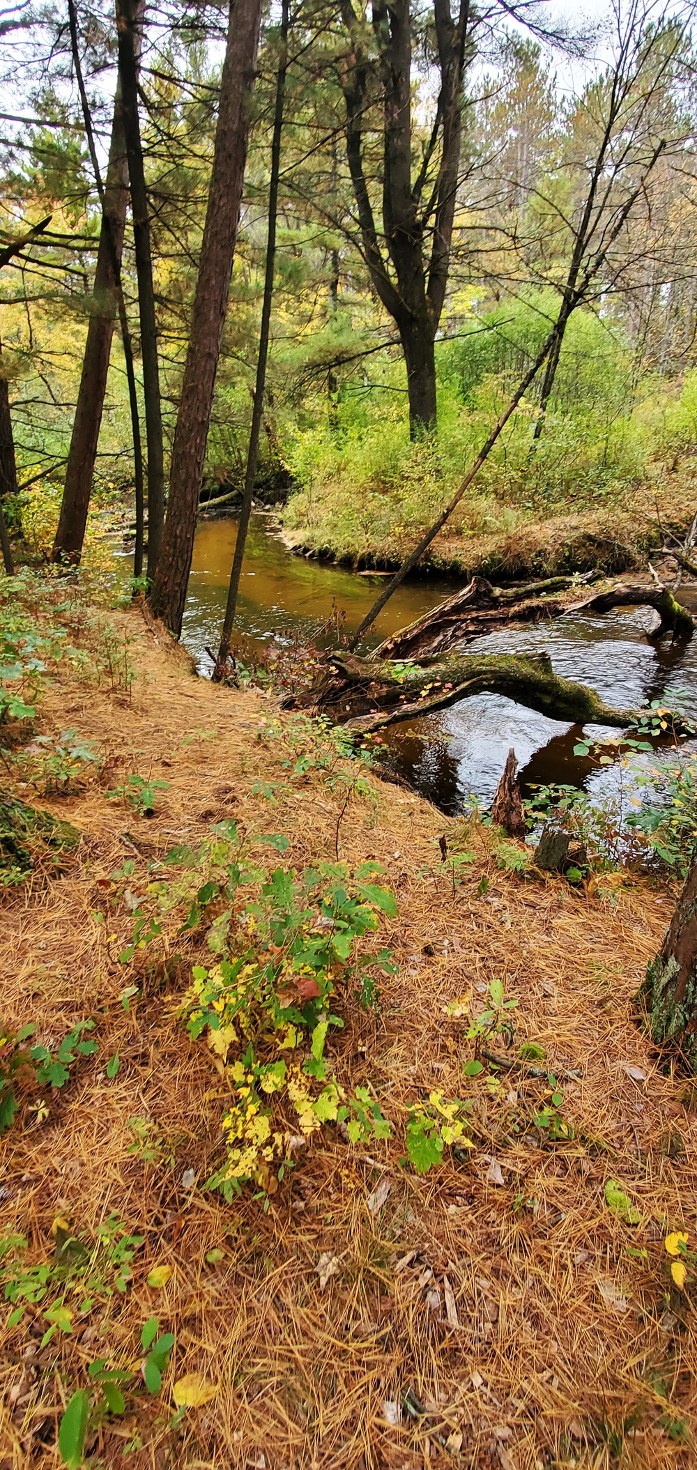 2020 Fall Views at Fort McCoy's Pine View Recreation Area