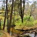 2020 Fall Views at Fort McCoy's Pine View Recreation Area