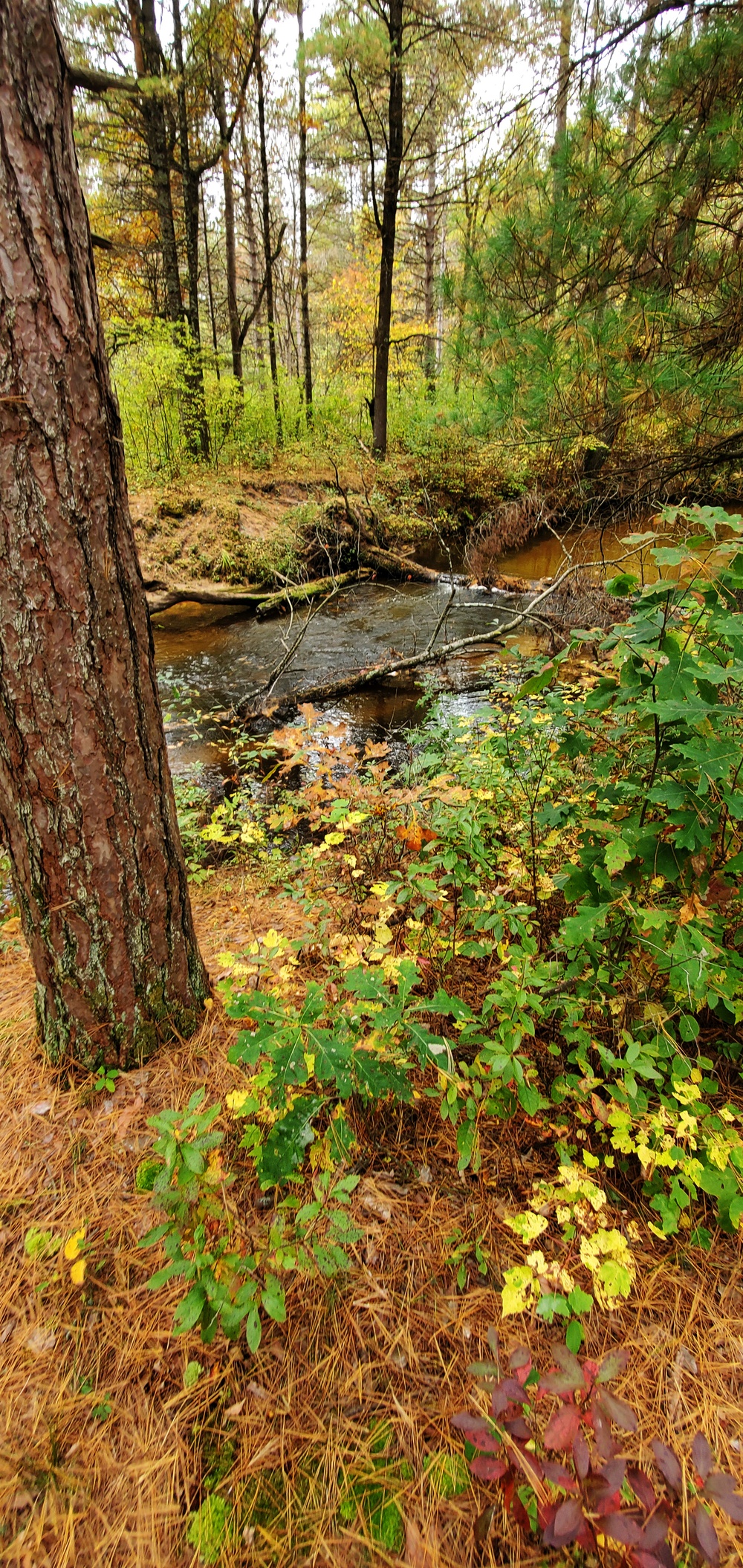 2020 Fall Views at Fort McCoy's Pine View Recreation Area