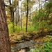 2020 Fall Views at Fort McCoy's Pine View Recreation Area
