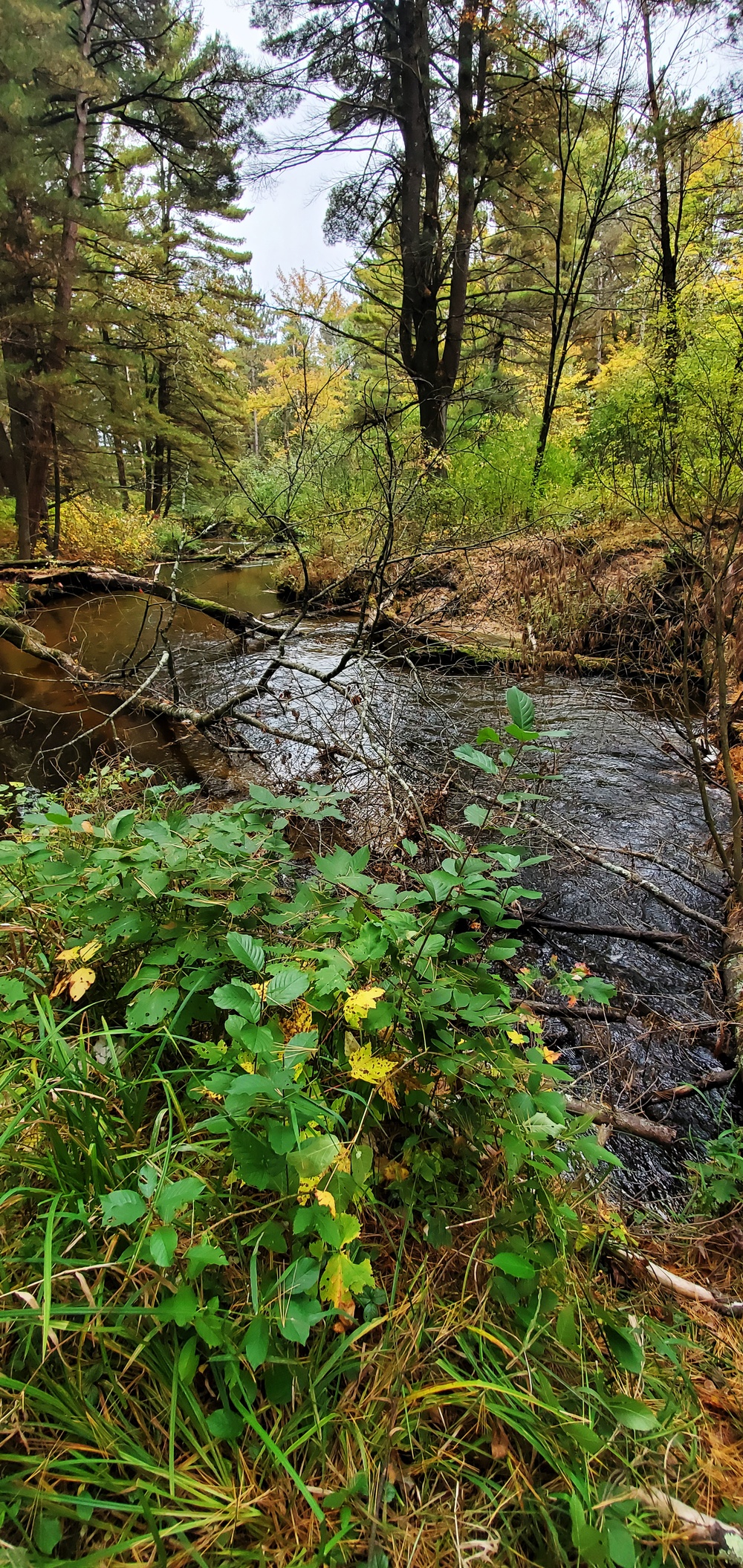 2020 Fall Views at Fort McCoy's Pine View Recreation Area