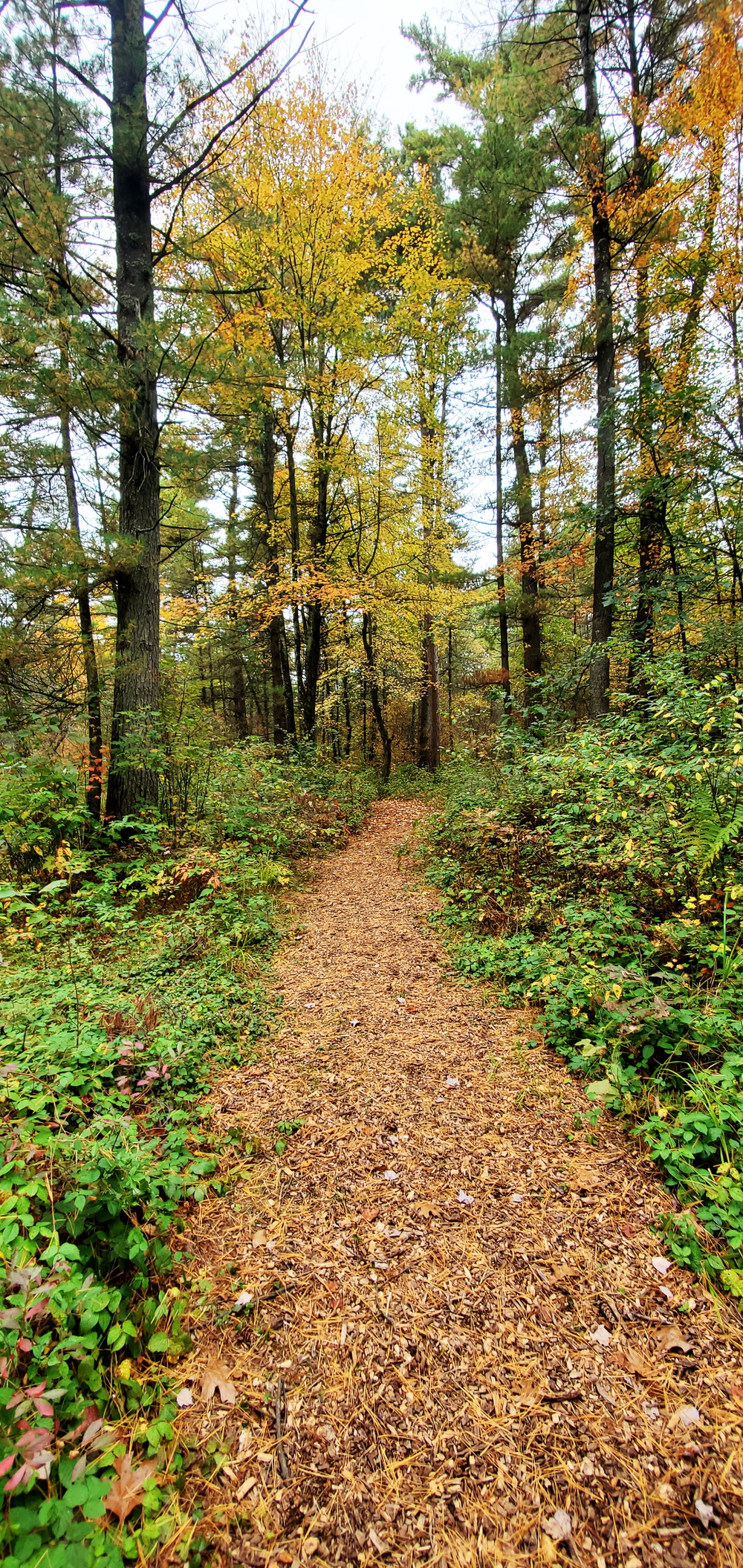 2020 Fall Views at Fort McCoy's Pine View Recreation Area