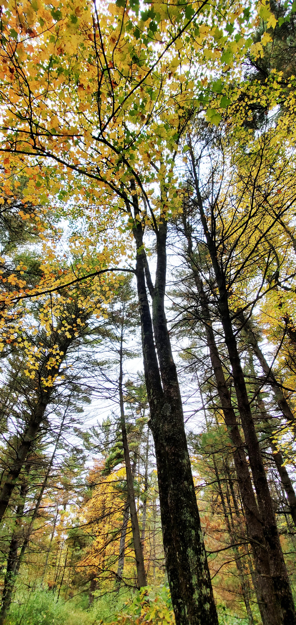 2020 Fall Views at Fort McCoy's Pine View Recreation Area