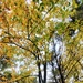 2020 Fall Views at Fort McCoy's Pine View Recreation Area