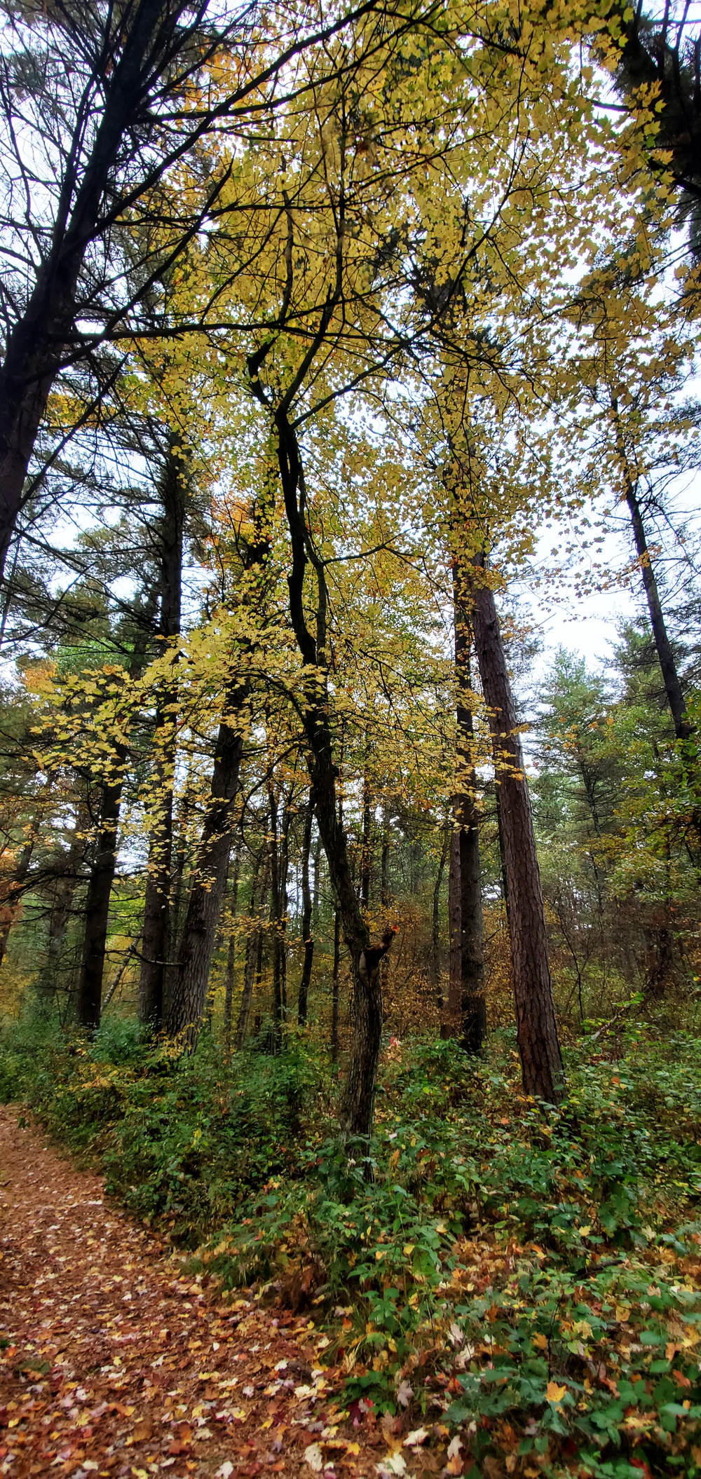2020 Fall Views at Fort McCoy's Pine View Recreation Area