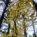 2020 Fall Views at Fort McCoy's Pine View Recreation Area