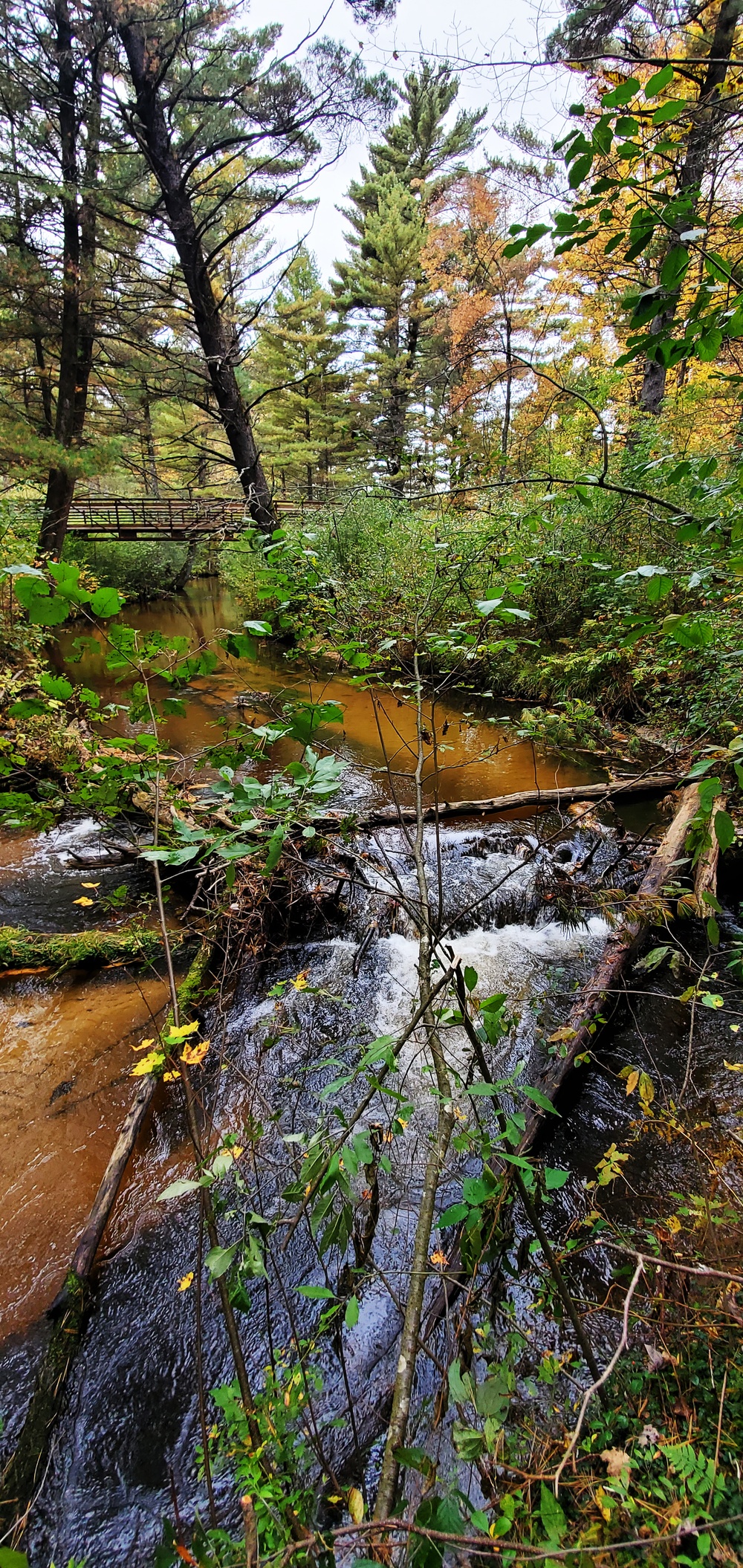 2020 Fall Views at Fort McCoy's Pine View Recreation Area