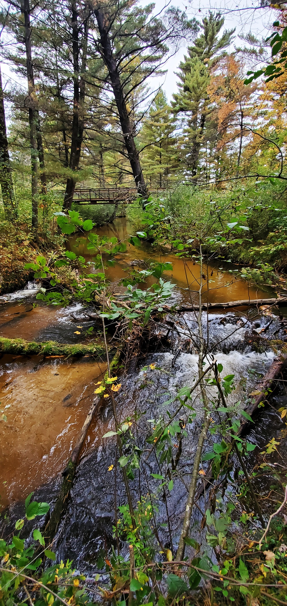 2020 Fall Views at Fort McCoy's Pine View Recreation Area