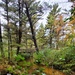 2020 Fall Views at Fort McCoy's Pine View Recreation Area