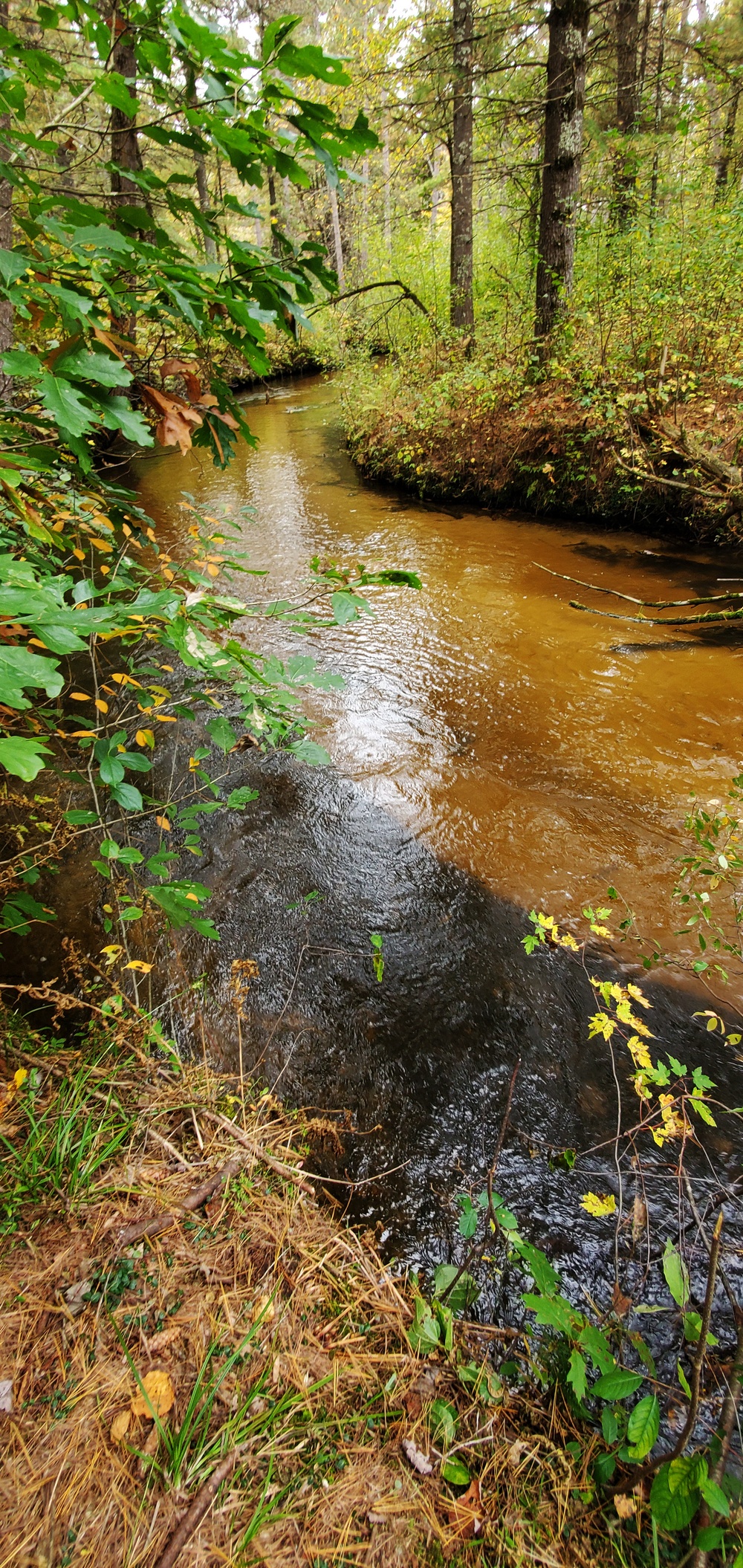 2020 Fall Views at Fort McCoy's Pine View Recreation Area