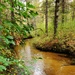 2020 Fall Views at Fort McCoy's Pine View Recreation Area