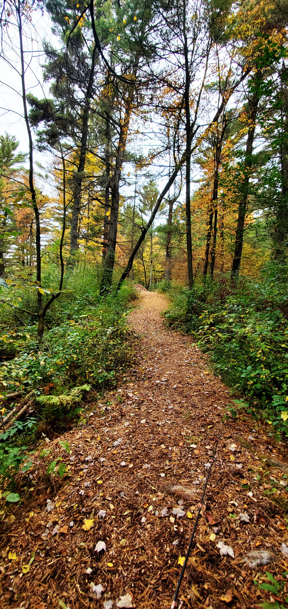 2020 Fall Views at Fort McCoy's Pine View Recreation Area