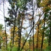 2020 Fall Views at Fort McCoy's Pine View Recreation Area