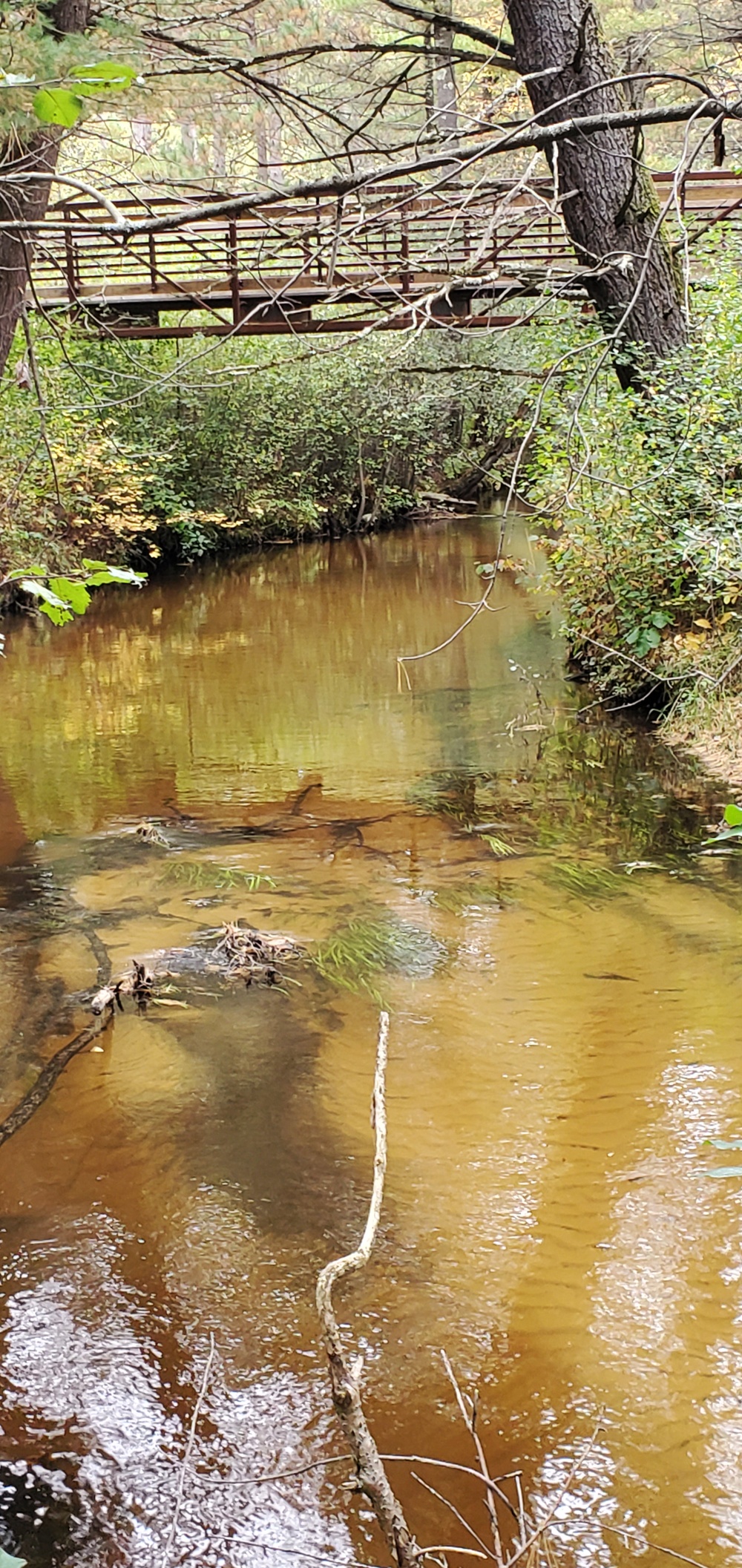 2020 Fall Views at Fort McCoy's Pine View Recreation Area